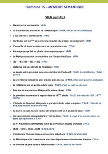 thumbnail of TESTn15_Memoire-semantique-Corrige