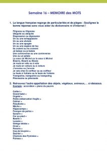 thumbnail of TESTn16_Memoire des mots