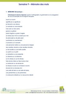 thumbnail of TESTn9_Orthographe