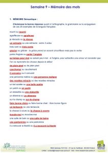 thumbnail of TESTn9_Orthographe_Corrections